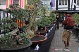 PAMERAN DAN KONTES BONSAI Page 1 Small