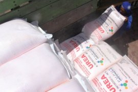 Petani diimbau waspadai pupuk palsu gunakan kemasan Petrokimia Gresik