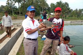 DPKP Agam dapat DAK Rp1,4 miliar untuk pengembangan perikanan