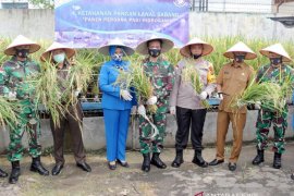 Wali Kota Sabang apresiasi inovasi padi hidroponik Lanal Sabang