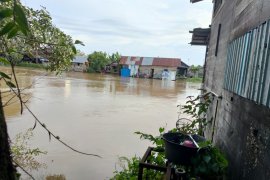 Riam kiwa meluap dikhawatirkan rendam benih padi petani Banjar