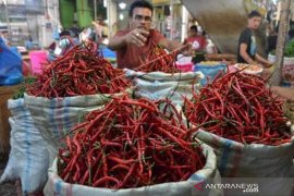 Cabai Merah Naik Jelang Natal Dan Tahun Baru Page 1 Small