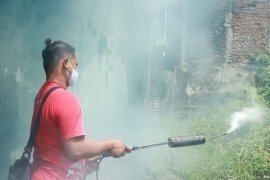 Cegah demam berdarah, fogging PSI sasar 10 ribu rumah di Surabaya