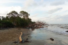 Pasca banjir, abrasi pantai Aceh Timur mengkhawatirkan