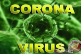 Total 131 pasien COVID-19 di Sulawesi Tenggara yang meninggal