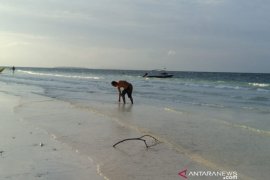 Objek wisata pantai sepi menyusul Surat Edaran Penjabat Wali Kota