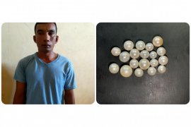 Dua tahun curi mutiara senilai Rp1 miliar, nelayan Lombok Timur ini modusnya sembunyikan di celana dalam