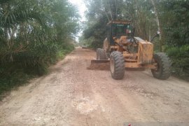 PT RAPP perbaiki akses jalan Wisata Desa Petai