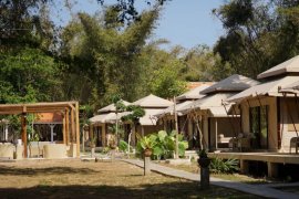 Banyuwangi siapkan strategi pemulihan ekonomi 2021