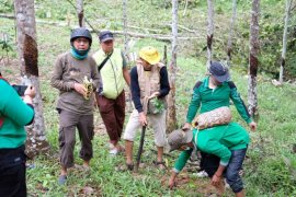 PHD dan FKH kolaborasi tanam pohon di kebun raya Balangan