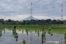 Menilik upaya wujudkan desa sejahtera di tengah pandemi