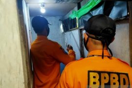BPBD  Banjarmasin tangkap puluhan ular "serang" rumah warga