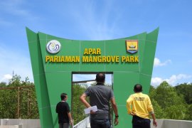 KKP nilai kawasan mangrove Pariaman Sumbar dapat menjadi wisata minat khusus