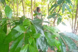 Pegiat: Normalisasi SKM harus melalui gerakan 3M