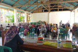 Unand dampingi  kader nagari optimalkan pelayanan kesehatan ibu dan anak di masa pandemi