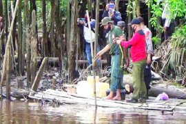 BKSDA: Membuang sampah di sungai pemicu buaya  sasar permukiman