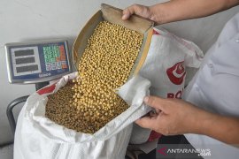 Subsidi kedelai untuk Kopti