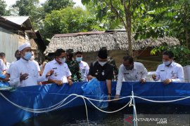 Peduli warga terdampak COVID-19, Pemkab berikan bantuan benih ikan