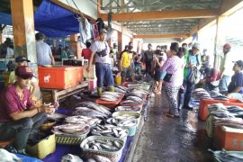 Cuaca cerah dukung hasil tangkapan nelayan di Makassar