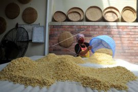 Produksi olahan kedelai lokal