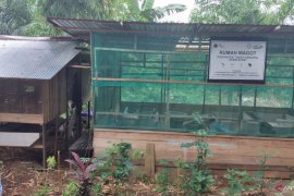 PT Arutmin bantu kegiatan ekonomi lokal masyarakat sekitar tambang