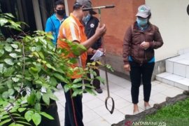DLHK Denpasar gencarkan program biopori di musim hujan