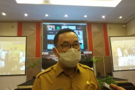 Petani Sinjai Sulsel siap penuhi permintaan ekspor talas ke Jepang