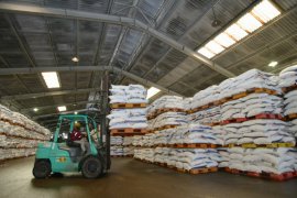 Subsidized fertilizer stock to suffice for second planting season: