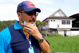 Produksi kedelai selama 2020 di Kalbar hanya 43 ton biji kering