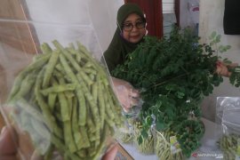 Makanan Ringan dari Daun Kelor