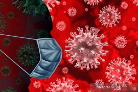 IDI: Florona bukan hasil mutasi dari varian baru COVID-19