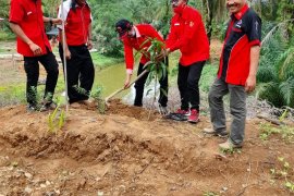 PDIP Mukomuko tanam bibit buah-buahan untuk penghijauan