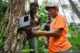 Pemasangan Kamera Trap di Lereng Gunung Wilis
