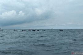 Sea Rider lanjutkan pencarian kotak hitam Sriwjaya Air