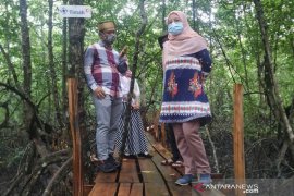 PT Timah bangun jembatan 95 meter di kawasan wisata hutan manggrove Kurau