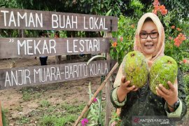Melestarikan kasturi maskot flora Kalsel yang punah