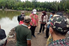 Pemkab Buol  dorong petani gunakan metode mina padi olah lahan