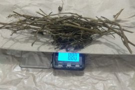 Simpan ganja di tempat sampah, polisi tangkap buruh tani