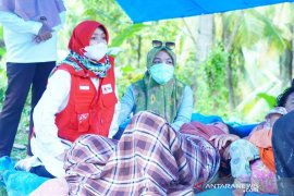 PMI bantu merawat korban gempa Sulbar yang alami luka