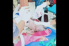 Semula dikira bangkai monyet, warga Jerowaru temukan mayat bayi berbalut lumpur di parit