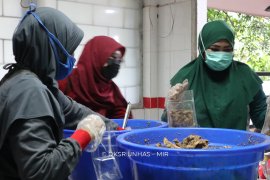 Mahasiswa Unhas salurkan satu ton bakso dan ayam palekko ke Sulbar