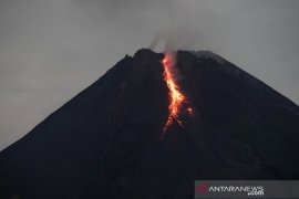 Gunung Merapi 36 kali muntahkan lava pijar