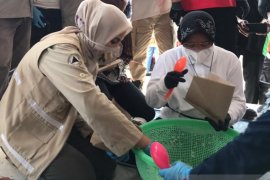 Mensos Risma bantu siapkan makanan pengungsi banjir di Jember