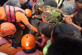 Korban diterkam buaya di sungai Pasaman Barat ditemukan meninggal dunia