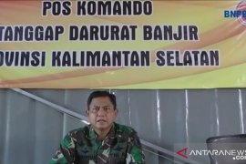 11 kabupaten dan kota di Kalsel terancam gagal panen akibat banjir
