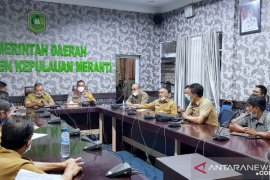 Hanya dua desa di Meranti manfaatkan hutan produksi tetap