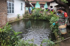 Bantu ekonomi keluarga, Babinsa Ginanjar budi daya ikan dan beternak kambing