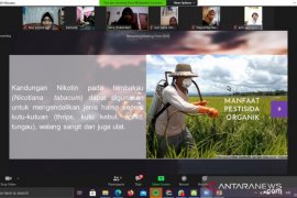 Mahasiswa UMM  ajak petani buat pestisida alami dari limbah tembakau