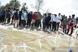 Babel kembangkan 5.000 hektare rumput laut di Batu Bariga