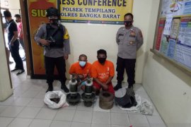 Polisi Bangka Barat ringkus dua pencuri di perkebunan sawit